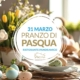 Pranzo di Pasqua 31 marzo 2024 - ristorante panoramico - Il Barrino di Tatti - Tatti (Grosseto)